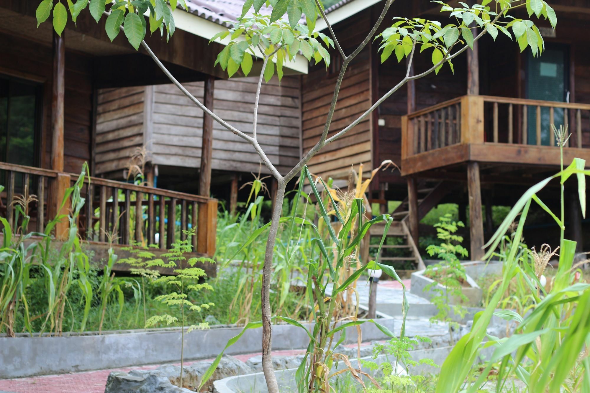 Golden Bungalows Kaoh Touch Bagian luar foto